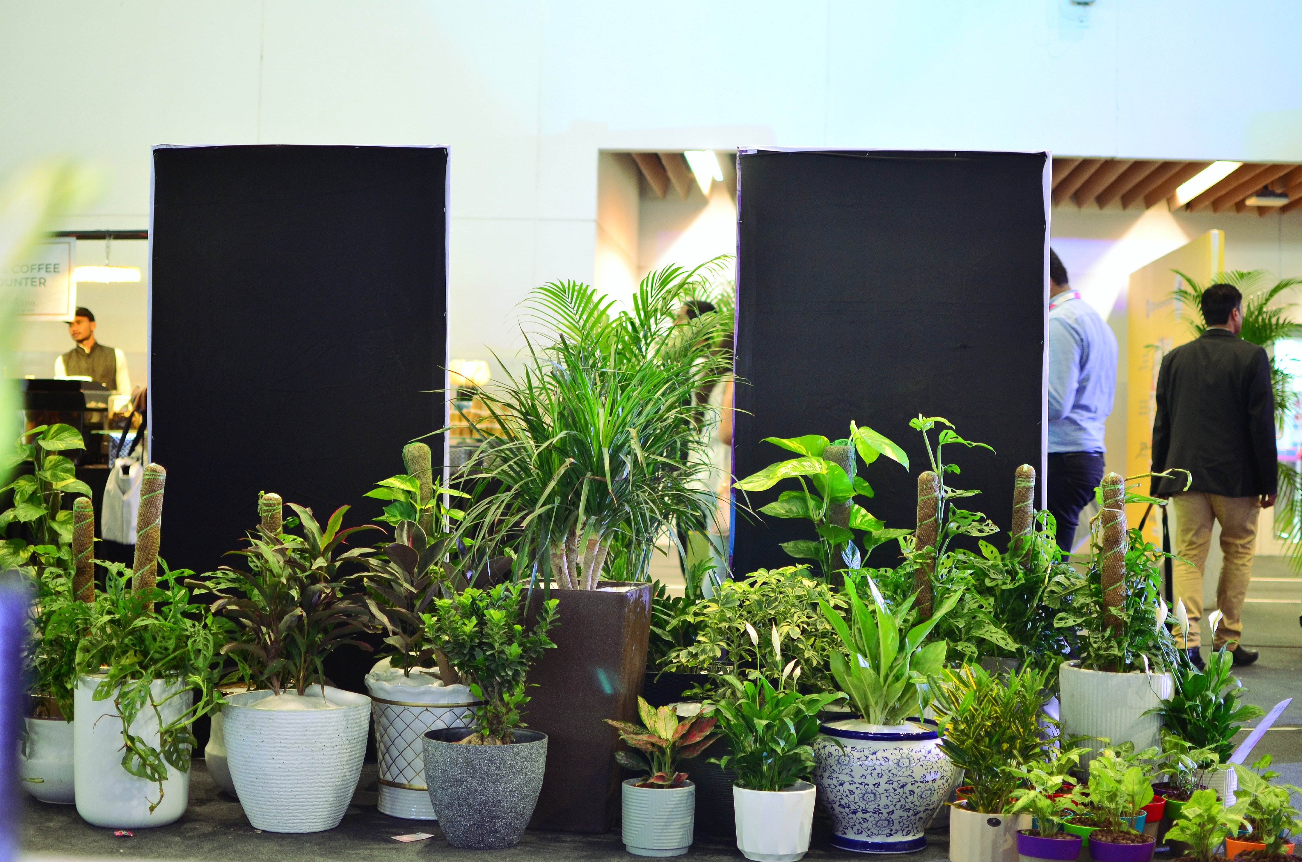 What Your Garden Says About You